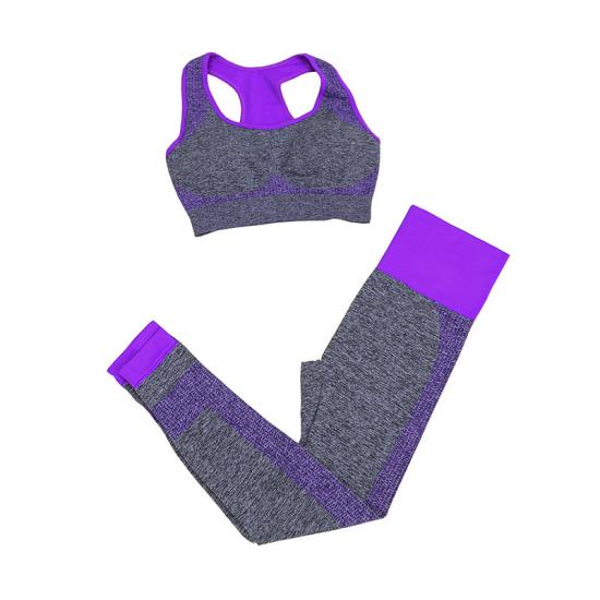 Women's Seamless Workout Set 2 Piece Yoga Sports Bra and GYM Leggings  Activewear